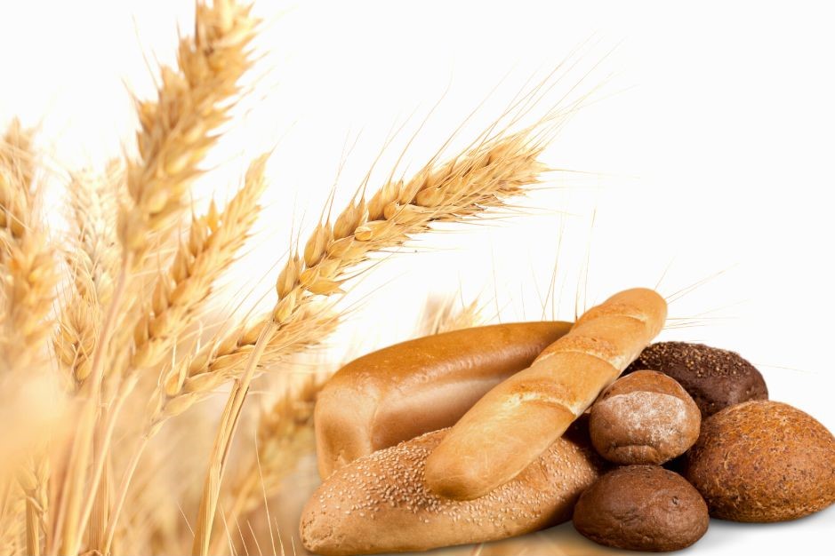 ALERGIA na pszenicę – kiedy pieczywo nam szkodzi