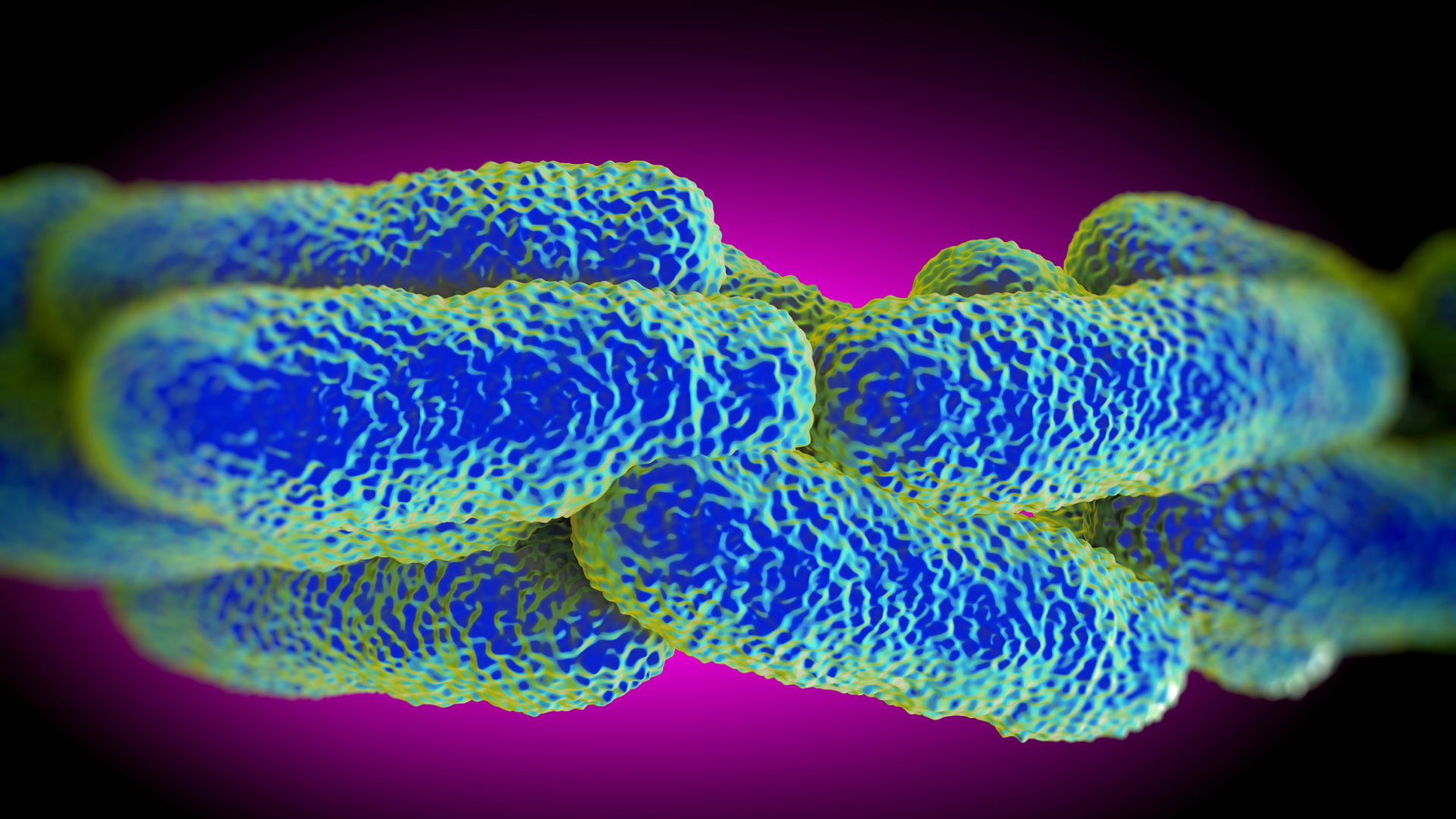 Co to jest Legionella pneumophila – przyczyny, objawy i leczenie
