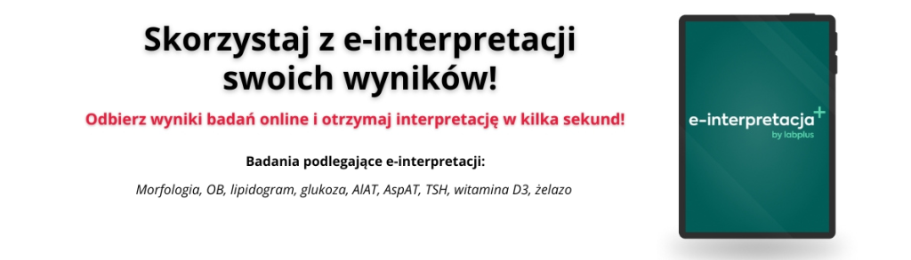 e-interpretacja