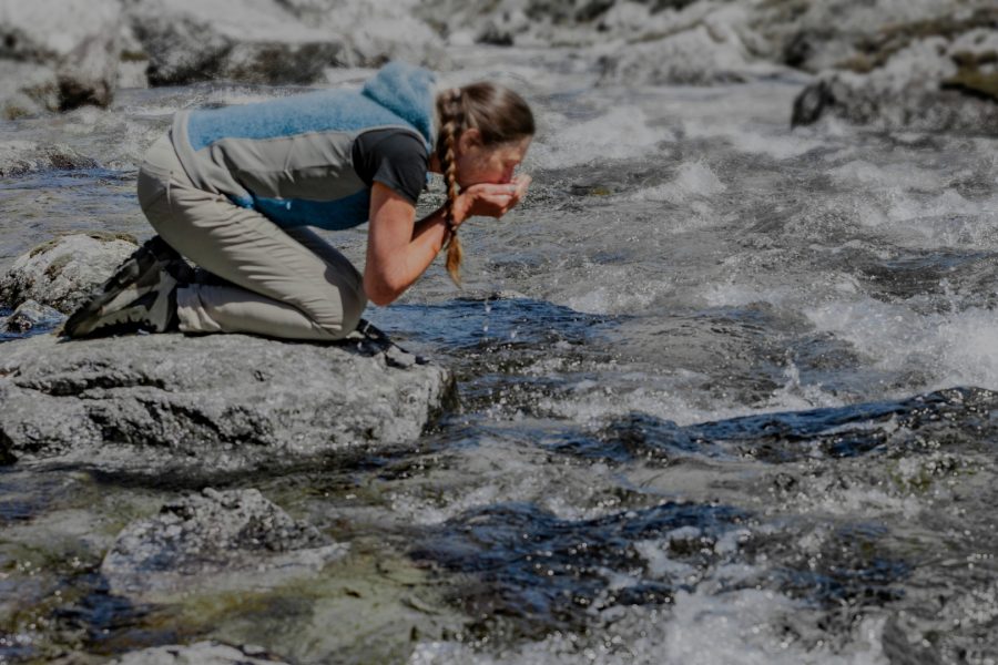 Co to jest bakteria Escherichia coli? Objawy, diagnostyka i leczenie!