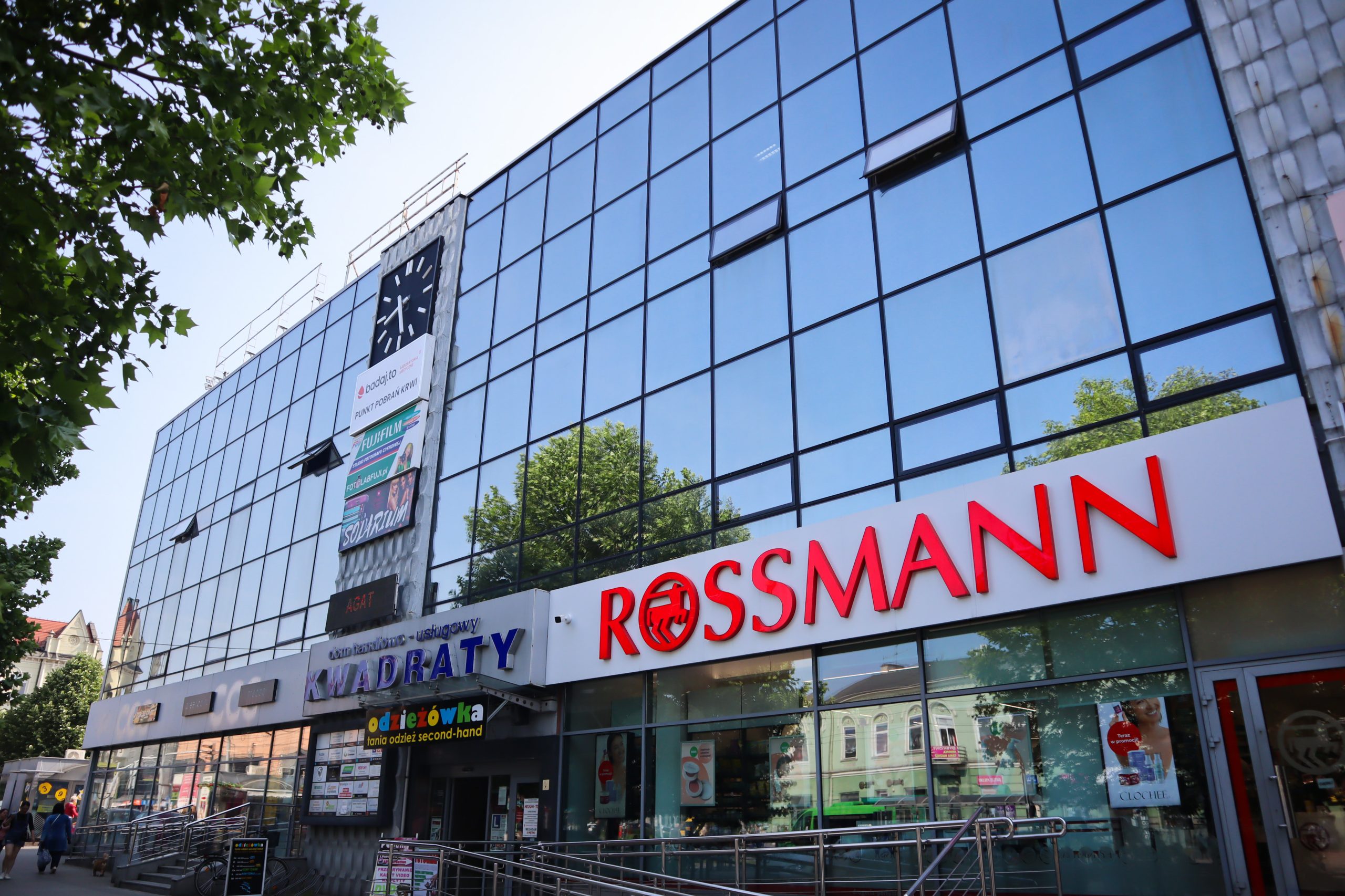 badania krwi częstochowa