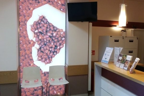 Badania Laboratoryjne Krwi Dąbrowa Górnicza
