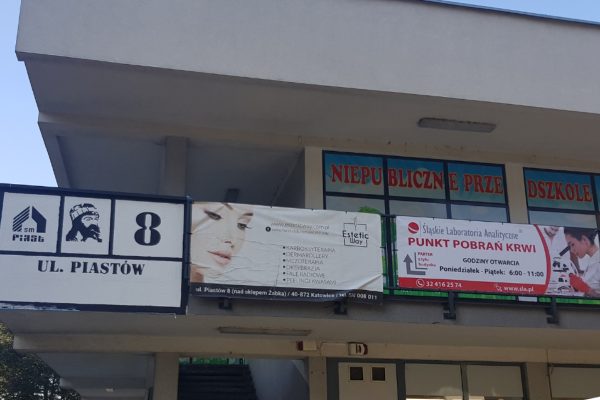 Badania analityczne krwi Katowice