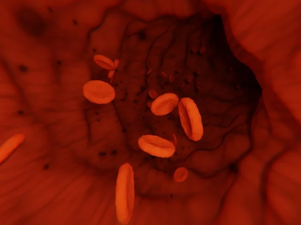 Weryfikacja wyniku płytek krwi