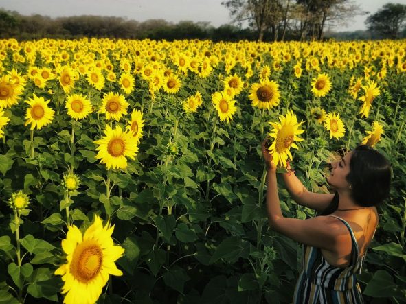 Czy można sprawdzić alergię, badając krew?