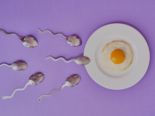 Dieta płodności – Czy dieta ma wpływ na płodność?