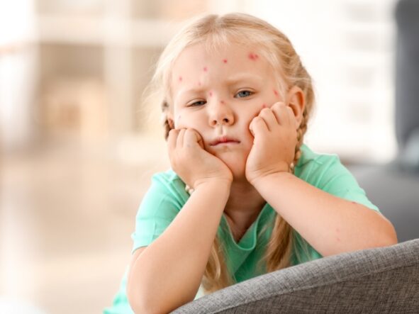 Pakiet diagnostyki pasożytów