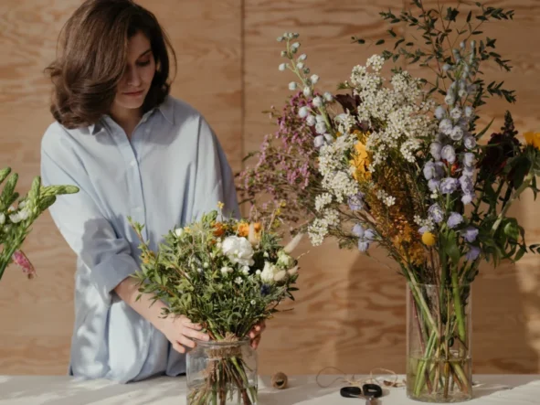 Lucerna siewna – właściwości i zastosowanie