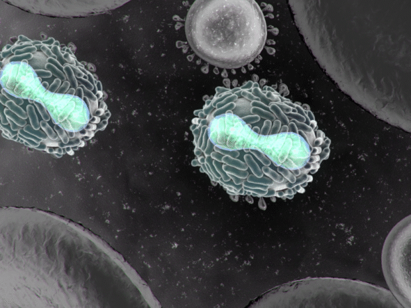 Półpasiec – objawy, leczenie i przyczyny