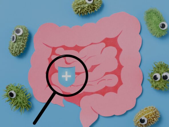 Rola bakterii jelitowych na stosowaną dietę