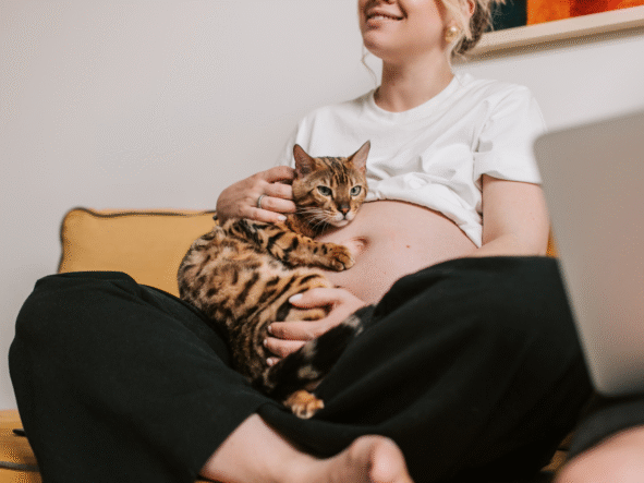 Toksoplazmoza u kobiet w ciąży